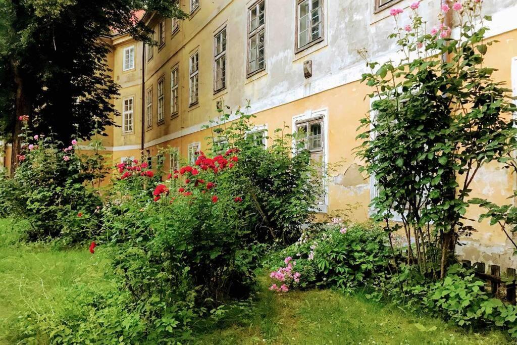 Rose Apartments / Romantic & Cozy / City Center Prága Kültér fotó